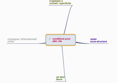 Développement rapide