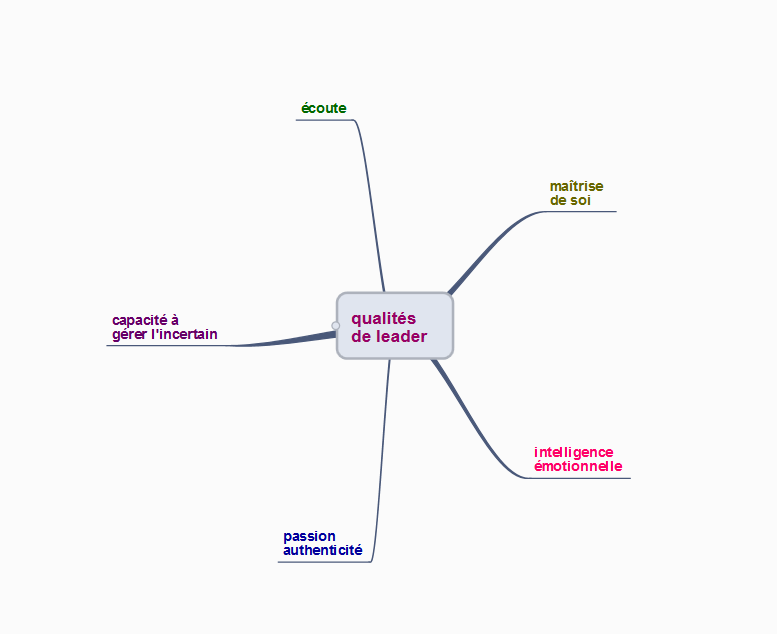 Les qualités d’un leader